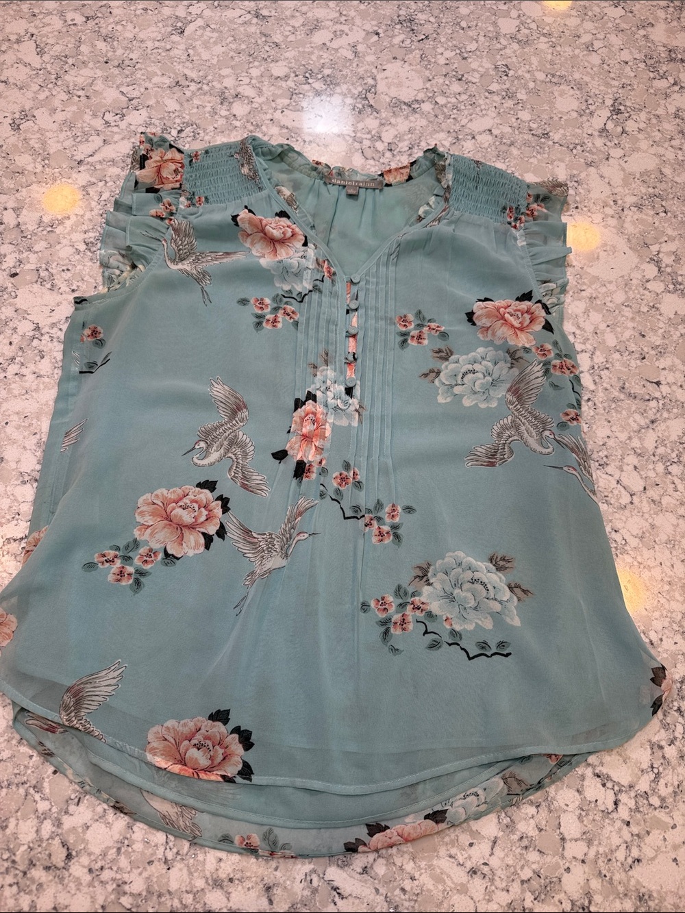 Daniel Rainn Seafoam Green Floral & Bird Pintuck Blouse ruffle cap sleeve size S